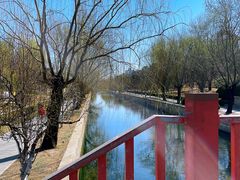 -元大都城垣遗址公园