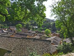 -杨家堂村