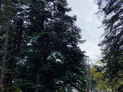 -硗碛藏寨·神木垒景区