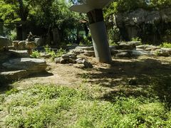 -皇家御河游(紫御湾码头)