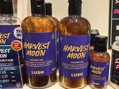 -LUSH(威尼斯人店)