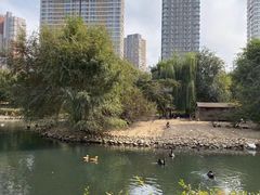 -长白岛森林公园