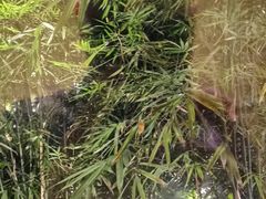 -永利澳门酒店