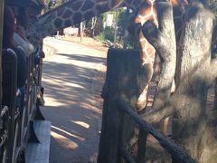 -清迈夜间动物园