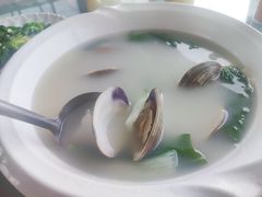 沙白豆腐汤-七鲜渔港美食餐厅(巽寮湾海景店)