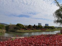-太湖湖滨国家湿地公园-停车场