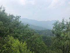 -阳台山自然风景区