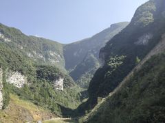 -武陵山森林公园
