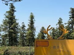 -东山风景区(洞庭东山)