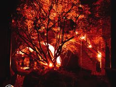 -鱼桥巷·美学川菜