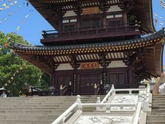 -庐山风景名胜区-东林大佛