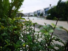 -湘湖金融镇