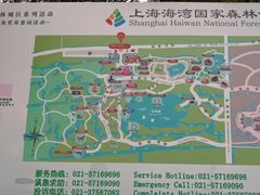 -上海海湾国家森林公园