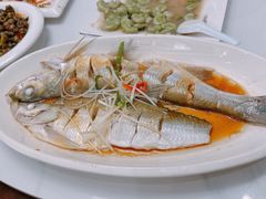 清蒸白水鱼-状元楼(金溪路店)