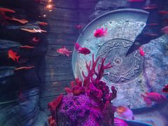 -沈阳海洋探索中心