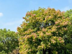 -艾溪湖湿地公园