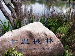 -西溪国家湿地公园