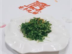 -宛平九号