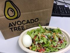 -油梨树AVOCADO TREE(望京店)
