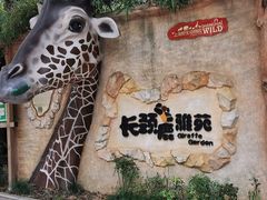-上海野生动物园