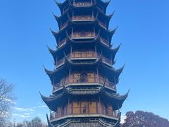 -红梅公园