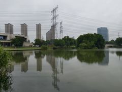 -九里河湿地公园