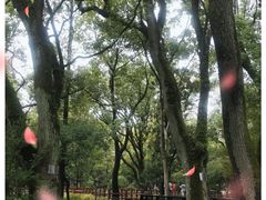 -南浔古镇
