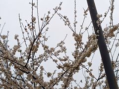 -西安浐灞国家湿地公园