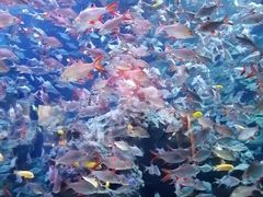 -成都浩海立方海洋公园