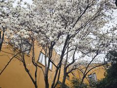 -龙华寺