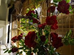 -北京老门框爆肚涮肉馆(凤城六路店)