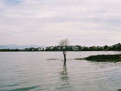 -大理洱海