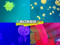 -海合安武汉极地海洋公园