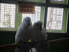 -海合安武汉极地海洋公园
