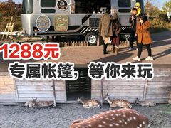 -安德鲁户外烧烤帐篷营地(马泉营店)