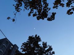 -河南省体育场馆中心游泳馆