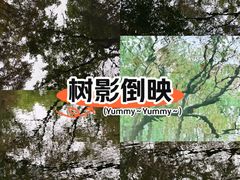 -郑和公园