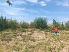 -盘龙城国家考古遗址公园