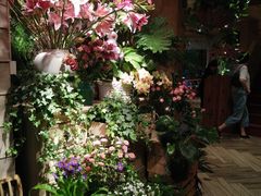 -春暖花开(西溪店)
