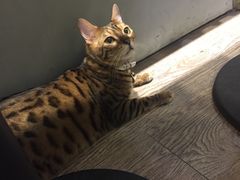 -小时光咖啡馆(开森度假森林店)