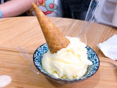 菠萝金不换-歎雪糕低糖低脂Gelato冰淇淋