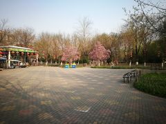 -丰台科技园生态主题公园
