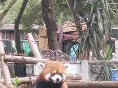 -柳州市动物园