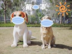 -景田北六街公园宠物主题园