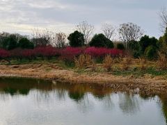 -同里国家湿地公园
