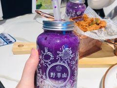 -野萃山·潮汕厚果汁(十亩地店)