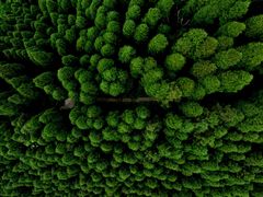 -太阳湾风景区