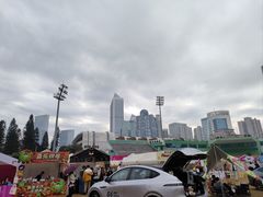 -广州天河体育中心-棒垒球场