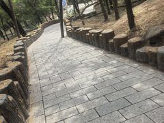-白水寺森林公园