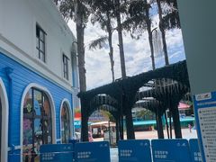 -海合安成都极地海洋公园